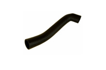 Hadice chladiče horní - 11CV