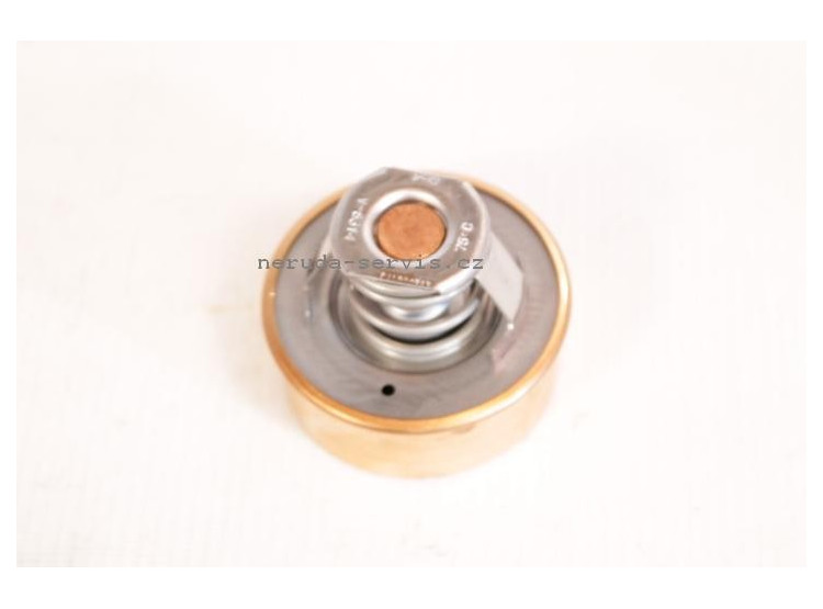 Termostat 75°C - do hadice - DS/ HY