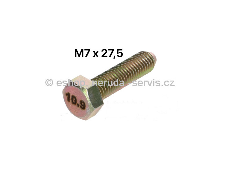 Šroub čepu řízení M7 x 27,5mm